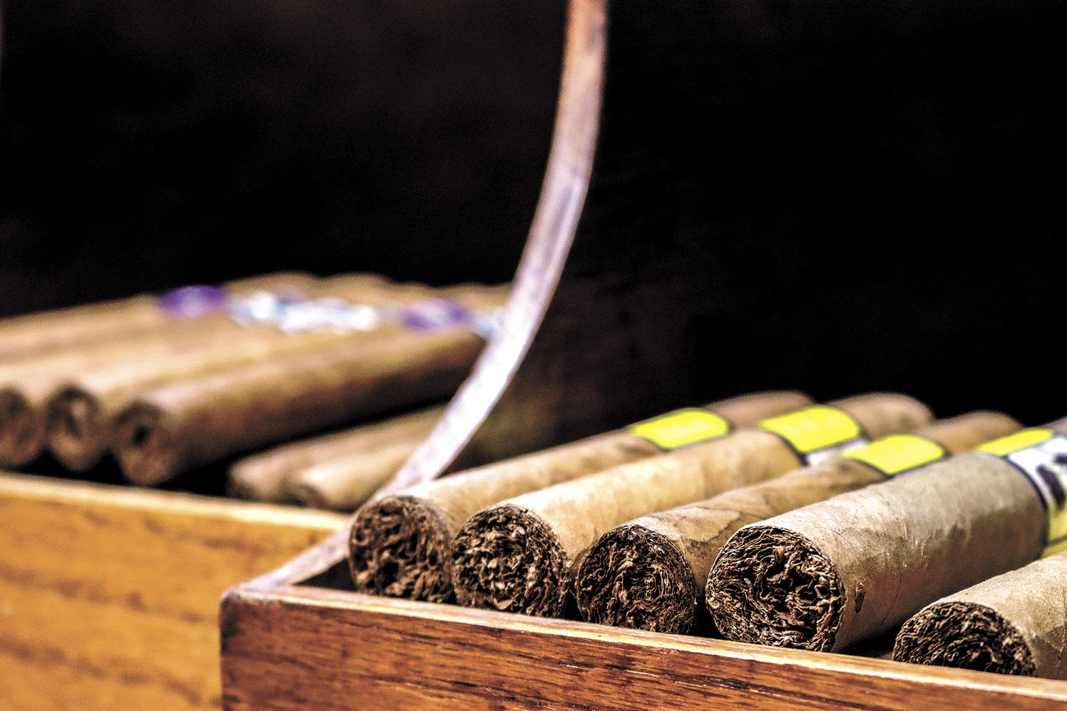 Margolis Cigars